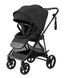 Прогулянкова коляска CARRELLO Extra CRL-6532 Forest Black