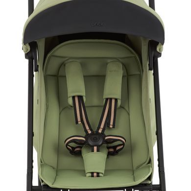 Прогулянкова коляска Anex Air-X&sup2; Vert, зелений