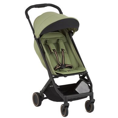 Прогулянкова коляска Anex Air-X&sup2; Vert, зелений
