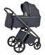 Коляска універсальна CARRELLO Vector CRL-6553 2в1 Plum Grey