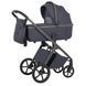Коляска універсальна CARRELLO Vector CRL-6550 2в1 Plum Grey
