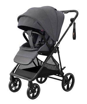 Прогулянкова коляска CARRELLO Extra CRL-5532 Chrome Grey