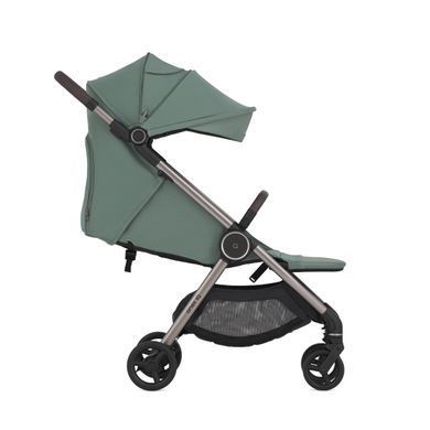 Візок 2в1 Anex IQ 2026 Premium Olly