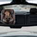 Автокрісло Bugs Axis 360 - Cloud Grey (група від 0 до 36 кг), 4823056520034