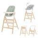 Стілець для годування CARRELLO Ergo CRL-16701 Elora Green