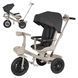 Велосипед триколісний TILLY FLASH T-3812 BLACK
