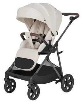 Прогулянкова коляска CARRELLO Costa CRL-5534 Cloud Grey