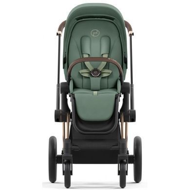 Коляска 2в1 Cybex Priam 2025 Leaf Green шассі Rosegold