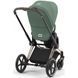 Коляска 2в1 Cybex Priam 2025 Leaf Green шассі Rosegold